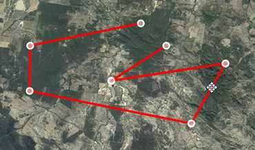 draw line add vertex