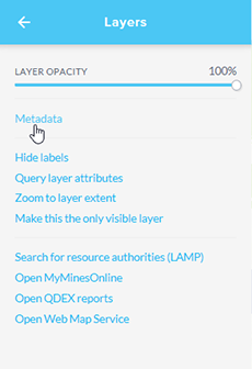 layers metadata link