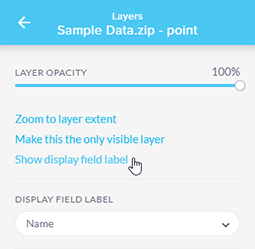 layers show display label