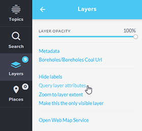 query layer attributes