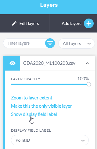 layers show display label